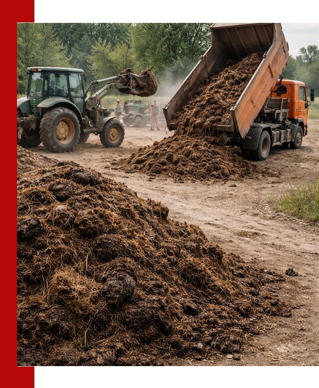 Доставка навоза самосвалами в Снежинске для сельхозпотребностей